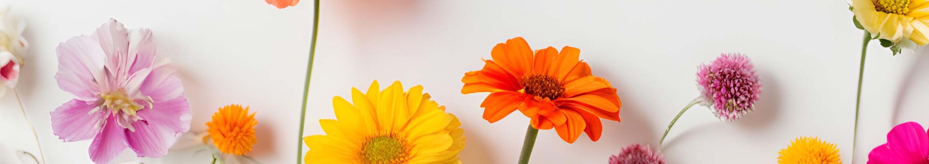 Country Floral - Spring