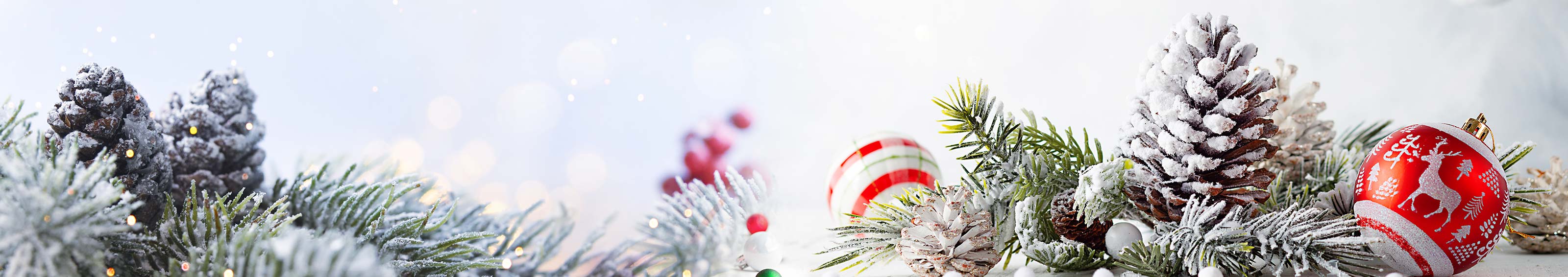 Country Floral - Winter